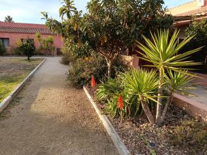 un jardin avec des arbres et des plantes à côté d'un bâtiment dans l'établissement Domaine la Colomine, à Canet