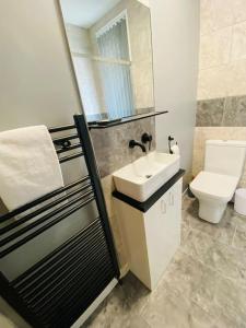 een badkamer met een wastafel en een toilet bij Colston House in Newport
