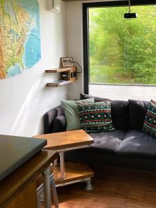 ein Wohnzimmer mit einem Sofa und einem Fenster in der Unterkunft Tiny House im Seecontainer mit Parkplatz, Glasfaser, Netflix, Veranda und gehobener Ausstattung in Coburg