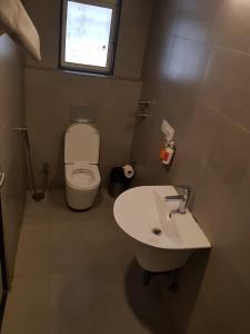 ein kleines Bad mit WC und Waschbecken in der Unterkunft Hotel Samrat, Mumbai in Mumbai