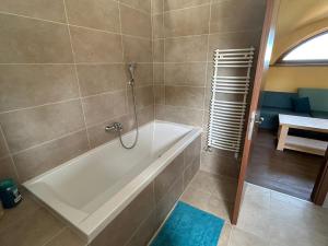 a bathroom with a bath tub in a room at Borbora Borház Villa in Vászoly