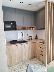 Köök või kööginurk majutusasutuses Apartman Felis Star