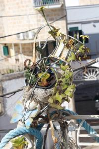 Fotografie z fotogalerie ubytování B&B U Mare Mio v destinaci Monopoli