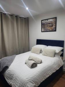 Katil atau katil-katil dalam bilik di Modern Apartment Nottingham