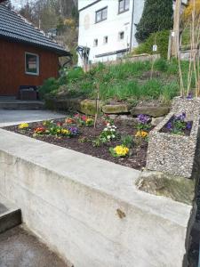 un jardin fleuri dans une cour dans l'établissement La Vane, à Sonneberg