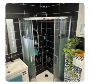 una doccia con una porta in vetro in un bagno di La petite Clavette a Clavette Altre 11 foto
