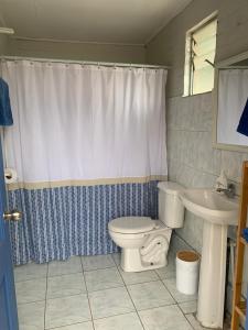 a bathroom with a toilet and a sink at SOL DE LA PALMA in Quillota