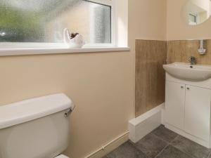 a bathroom with a toilet and a sink and a window at Broadlands Bungalow in Chard