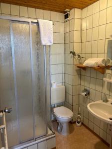 a bathroom with a shower and a toilet and a sink at Goldener Loewe in Wunsiedel