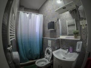 a bathroom with a toilet and a sink and a shower at The Centerpiece Rooms in Prishtina in Prishtinë