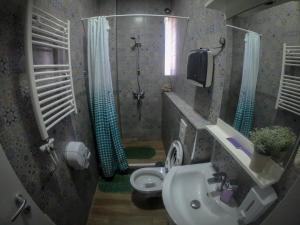 a bathroom with a sink and a shower and a toilet at Hostel Charming Double Private Room in Pristina