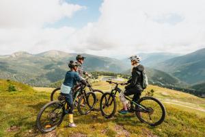 Radfahren an der Unterkunft Deluxe Panorama Apartment-Maibrunn-Alm oder in der Nähe