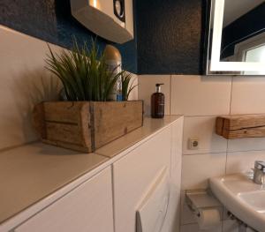 a bathroom with a plant in a wooden box at Waterfriends in Timmendorfer Strand