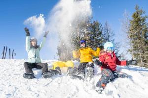 Deluxe Panorama Apartment-Maibrunn-Alm im Winter