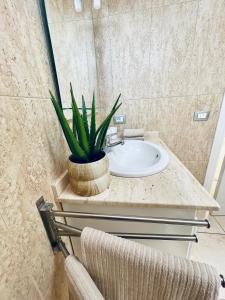 un baño con lavabo y una planta en un mostrador en Amazing Ocean View Apartment, en Porís de Abona