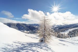 Deluxe Panorama Apartment-Maibrunn-Alm im Winter