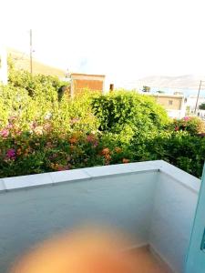 vistas a un balcón con flores y arbustos en Studios Sevasti, en Emborios