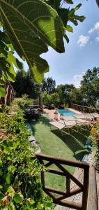a backyard with a pool and a table and chairs at La Dimora dei Baldi - Rooms & Relax in Fagnano Alto