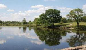 a river with a reflection of trees in the water at Luxury 1 bed apartment 10 mins from Bham City Centre in Birmingham