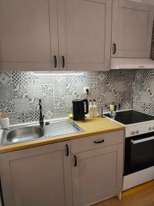 Kuchyň nebo kuchyňský kout v ubytování Dafnis Apartment Corfu Town + 8 fotografií