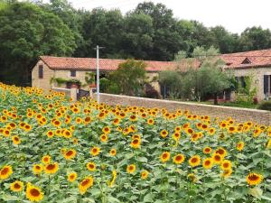 een veld met zonnebloemen voor een gebouw bij Aisina Portateni 