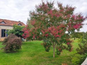 een boom met roze bloemen in een tuin bij Aisina Portateni 