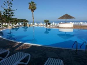 a large swimming pool with a palm tree and the ocean at Appartamento / villa parghelia con piscina in Parghelia