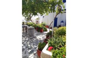 a garden with flowers and plants in pots at Politimis Studio N6 in Amorgos
