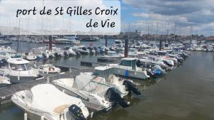 Un montón de barcos atracados en un puerto en Charmant petit Studio en duplex, en Le Fenouiller