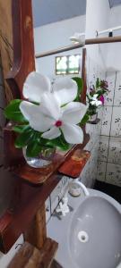 un jarrón de flores en un estante sobre un fregadero en Eco Hostel Lunar, en Soure