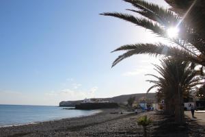 a beach with a palm tree and the ocean at La Lajita Barca Beach Sand in La Lajita +8 photos