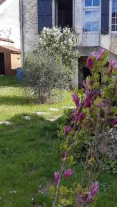un jardín con flores púrpuras frente a una casa en Gite rue Pasteur en Is-sur-Tille