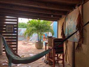 Balkon oz. terasa v nastanitvi Aruba Local Stay