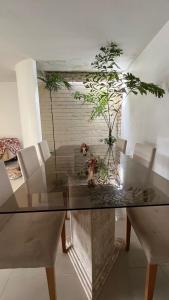 una mesa de cristal con una planta encima en Casa Olinda en Olinda