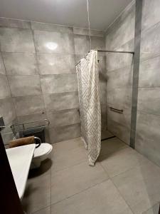 a bathroom with a shower and a toilet at Beztroska Zatoka - agroturystyka in Połajewo