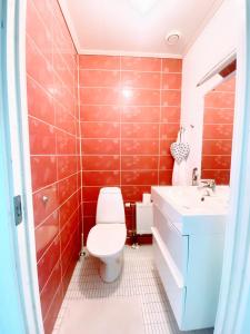 łazienka z toaletą i umywalką w obiekcie Expe Finland w mieście Porvoo