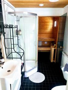 a bathroom with a shower and a sink and a toilet at Expe Finland in Porvoo
