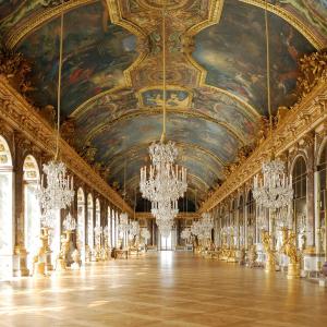 una grande camera con lampadari a braccio e soffitto di Tiny house avec terrasse a Versailles