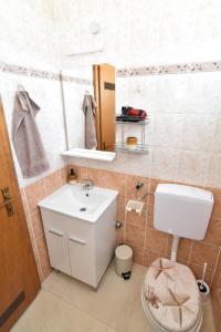 ein Badezimmer mit einem weißen Waschbecken und einem WC in der Unterkunft Apartman Podravina in Ludbreg