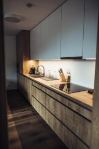 Cucina o angolo cottura di Luční apartmány Dobromysl a Laskavec