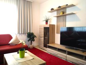 sala de estar con TV de pantalla plana grande en Appartements am Kirchplatz, en Fulpmes