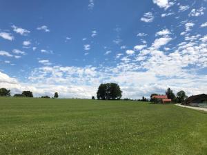 a large field of green grass with a cloudy sky at Ferienwohnungen Mörzhof Eurasburg in Eurasburg