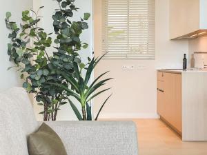 Kuchnia lub aneks kuchenny w obiekcie Palo Alto Apartment Indoor Pool Gym View Wifi Parking