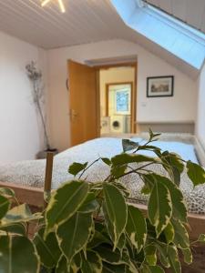 une plante devant un lit dans une pièce dans l'établissement Casa Italia, à Oberasbach