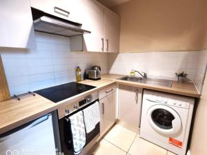een keuken met een wastafel en een wasmachine bij CENTRAL LOCATION 2 BED APT Fast WIFI & TV&KITCHEN in Dublin