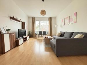 uma sala de estar com um sofá cinzento e uma televisão em Cozy Apartment in Hannover Central em Hanôver