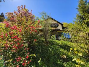 une maison sur une colline avec des fleurs et des arbres dans l'établissement Casa De Sub Padure, à Bran