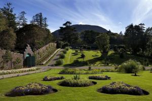 einen Garten mit Büschen und Blumen im Gras in der Unterkunft Connemara Letting's Townhouse in Clifden