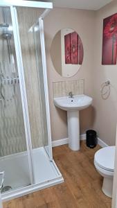 a bathroom with a shower and a sink and a toilet at 3 Bedroom Self-Catering Chalet in Steps