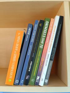 a group of books sitting on a shelf at Villa Ardilla (La Adrada) in La Adrada